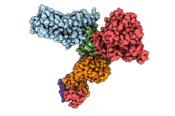 8JXR image