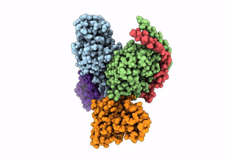 8JXW image