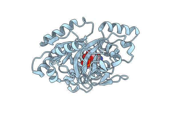 8JYD image
