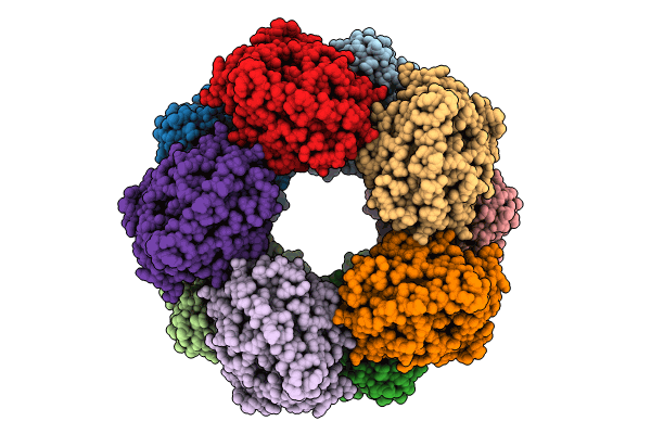 8K04 image