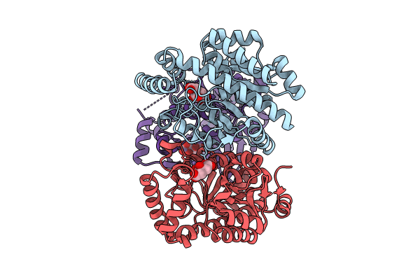 8K07 image