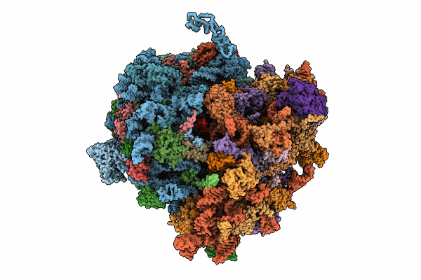8K2C image