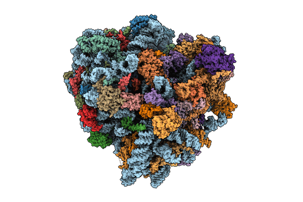8K82 image
