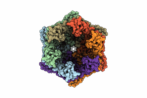 8K8Z image