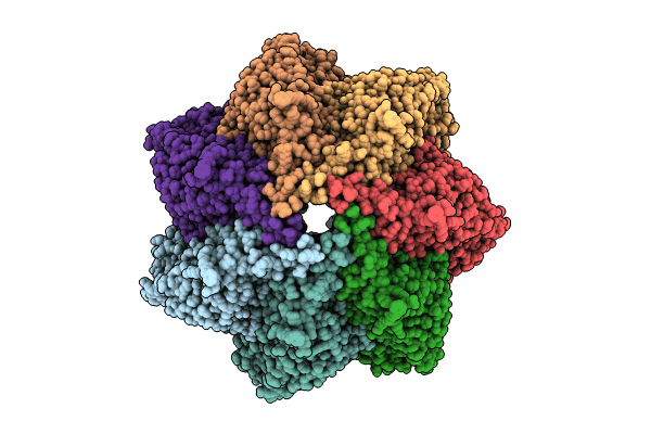 8K91 image