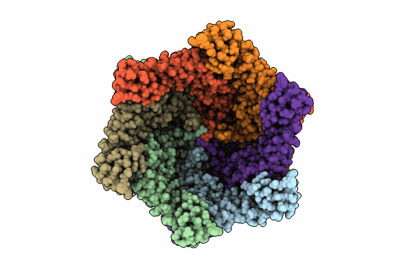 8K92 image