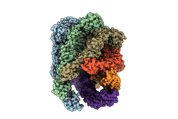 8K95 image