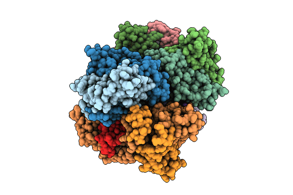 8KBB image