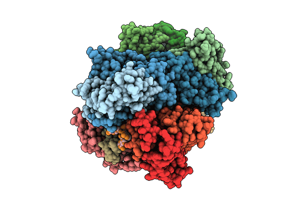 8KBC image