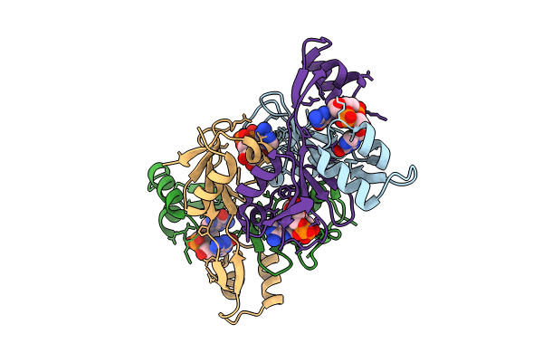 8KBK image