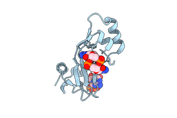 8KBL image