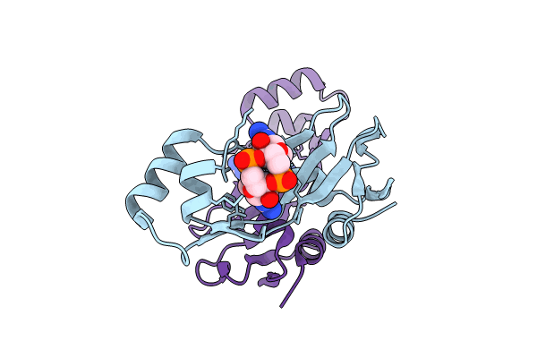 8KBM image