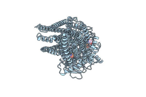 8KCI image