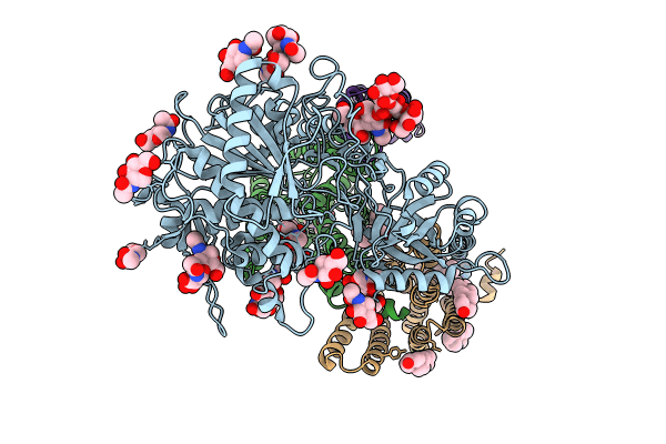 8KCO image