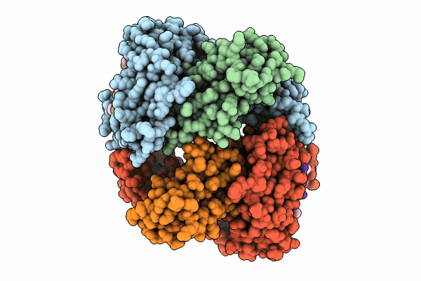 8KCV image