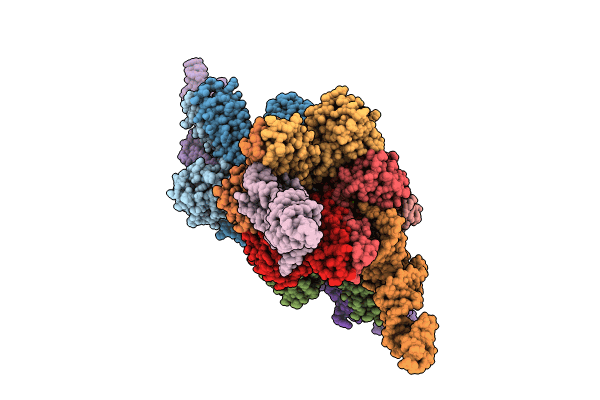 8KDA image