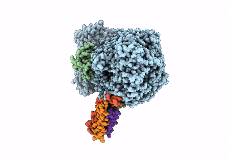 8KDC image