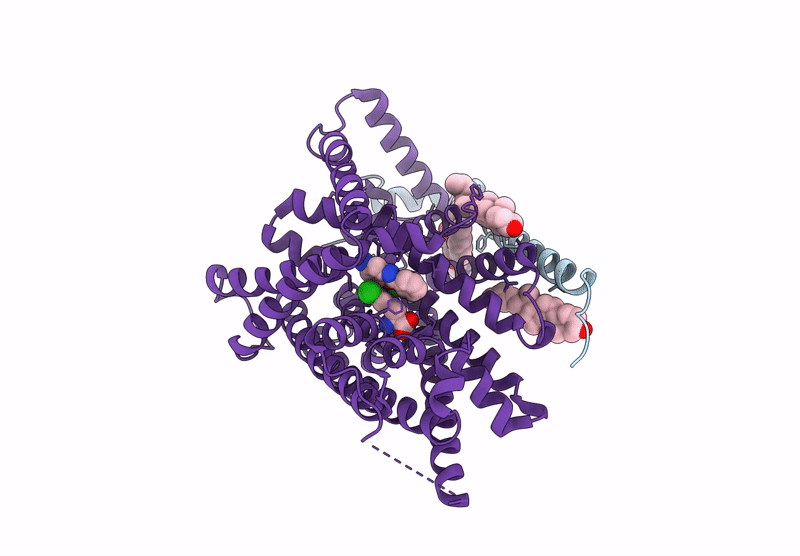 8KDF image
