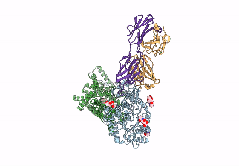 8KDG image