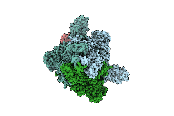 8KDM image