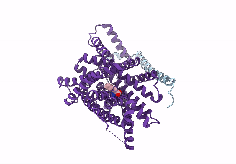 8KDN image