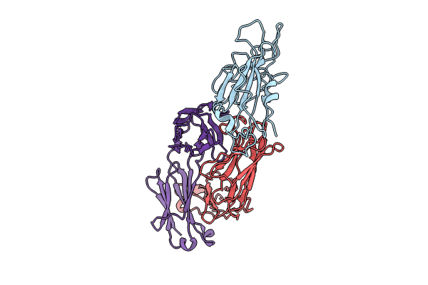 8KDT image