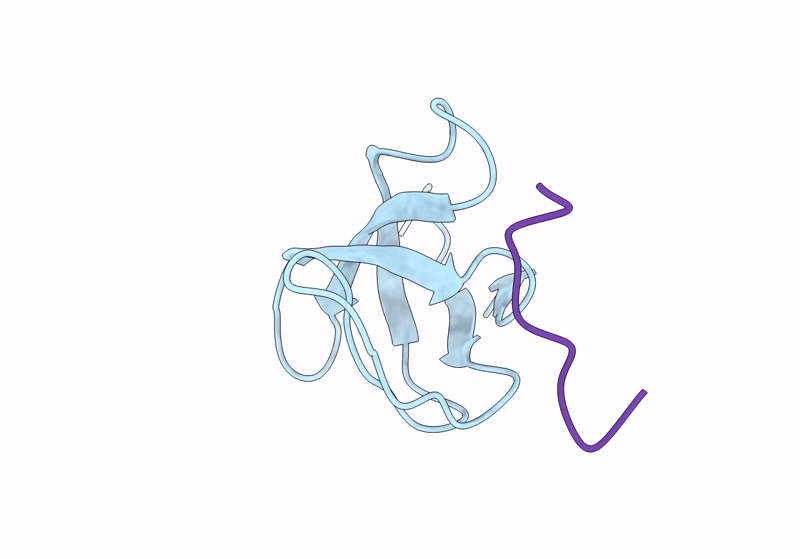 8KDX image