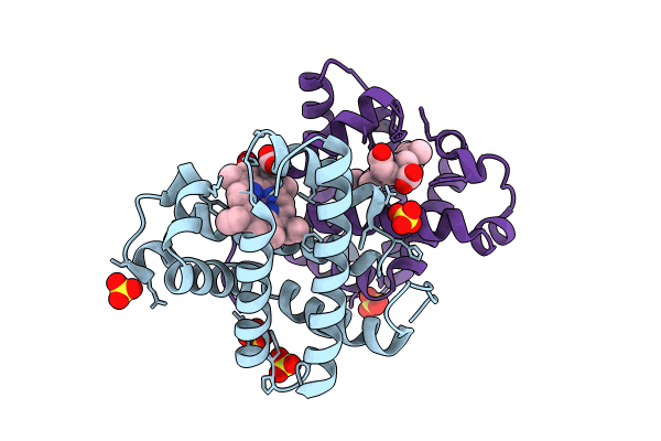 8KFH image