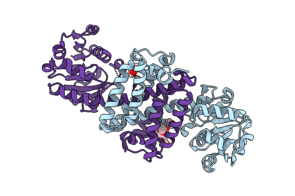 8KFK image