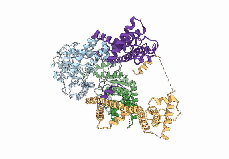 8ODV image