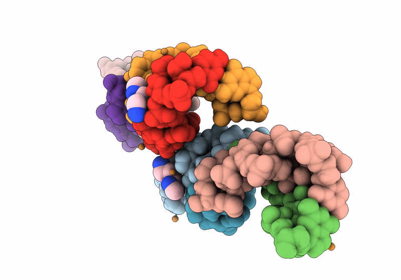 8OE8 image