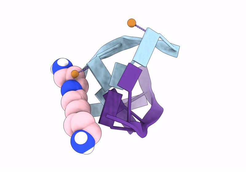 8OEB image