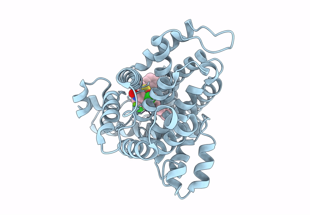 8OEG image