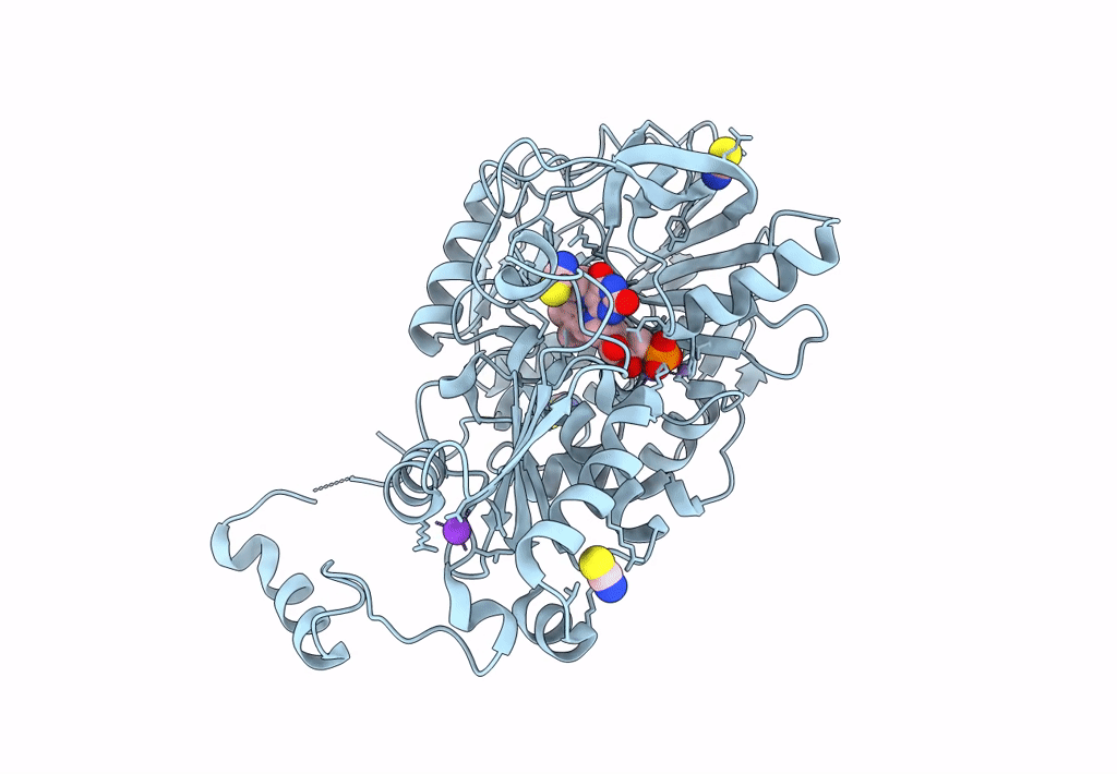 8OEO image