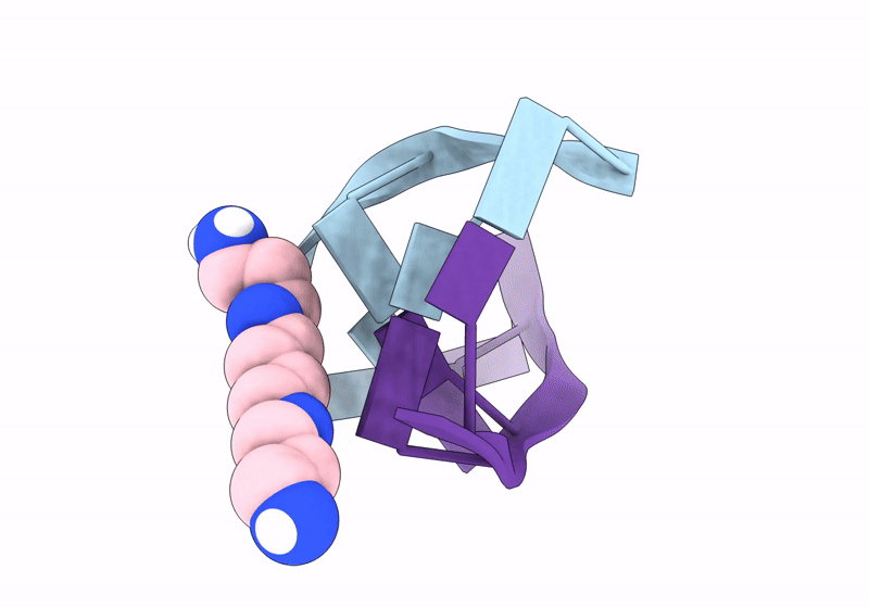 8OEX image