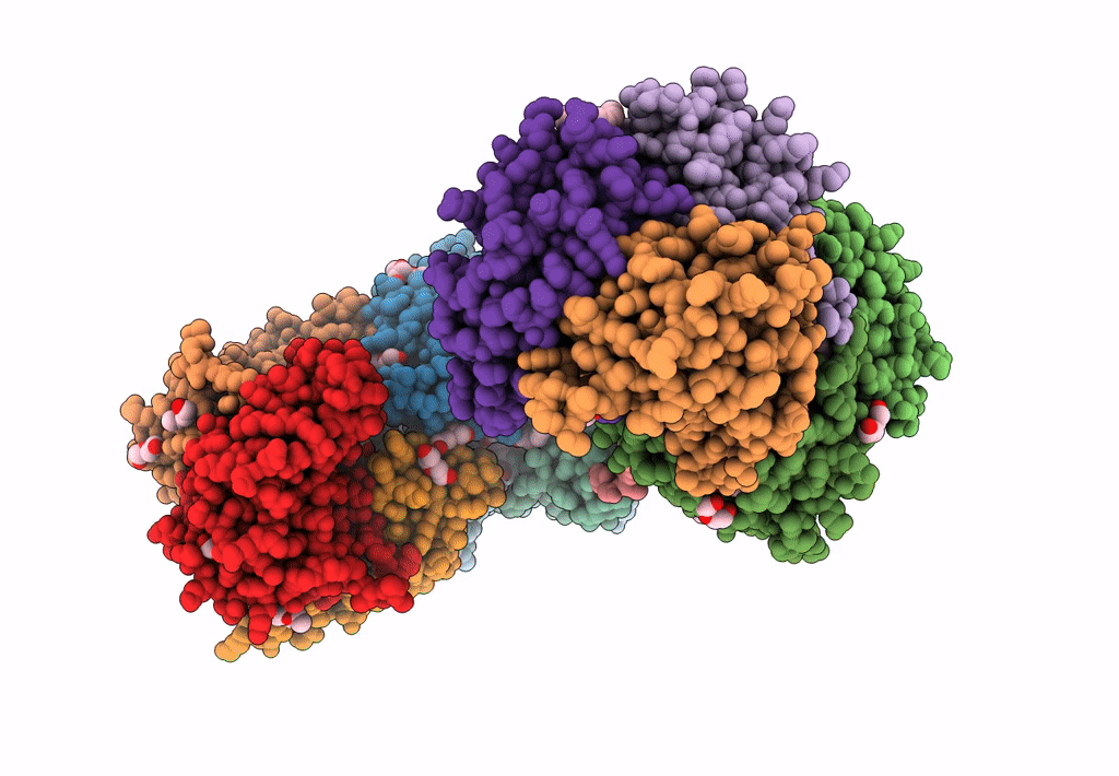 8OFV image