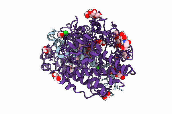 8OGI image