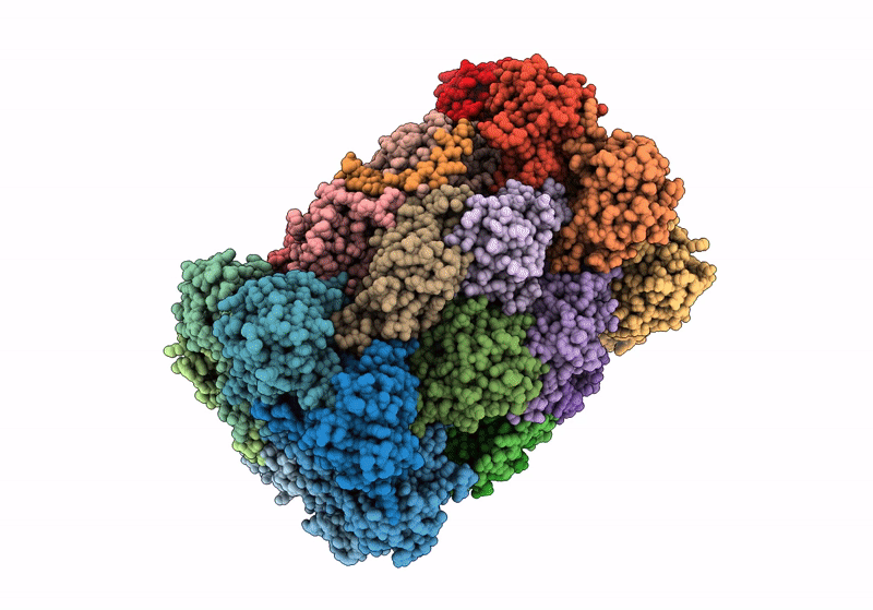 8OIX image