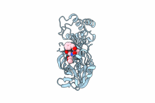 8OKB image