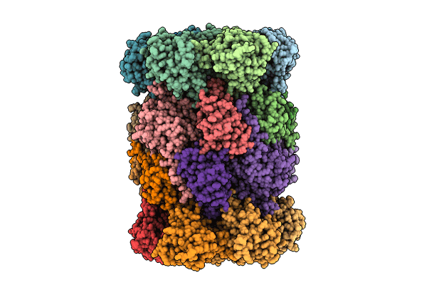 8OLR image