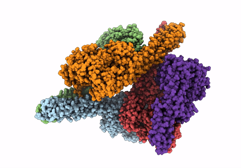 8OMV image
