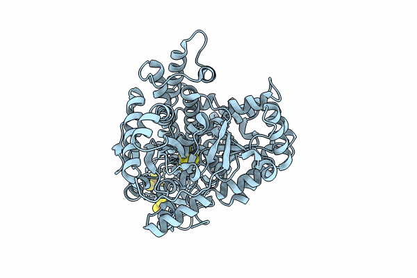 8OMX image