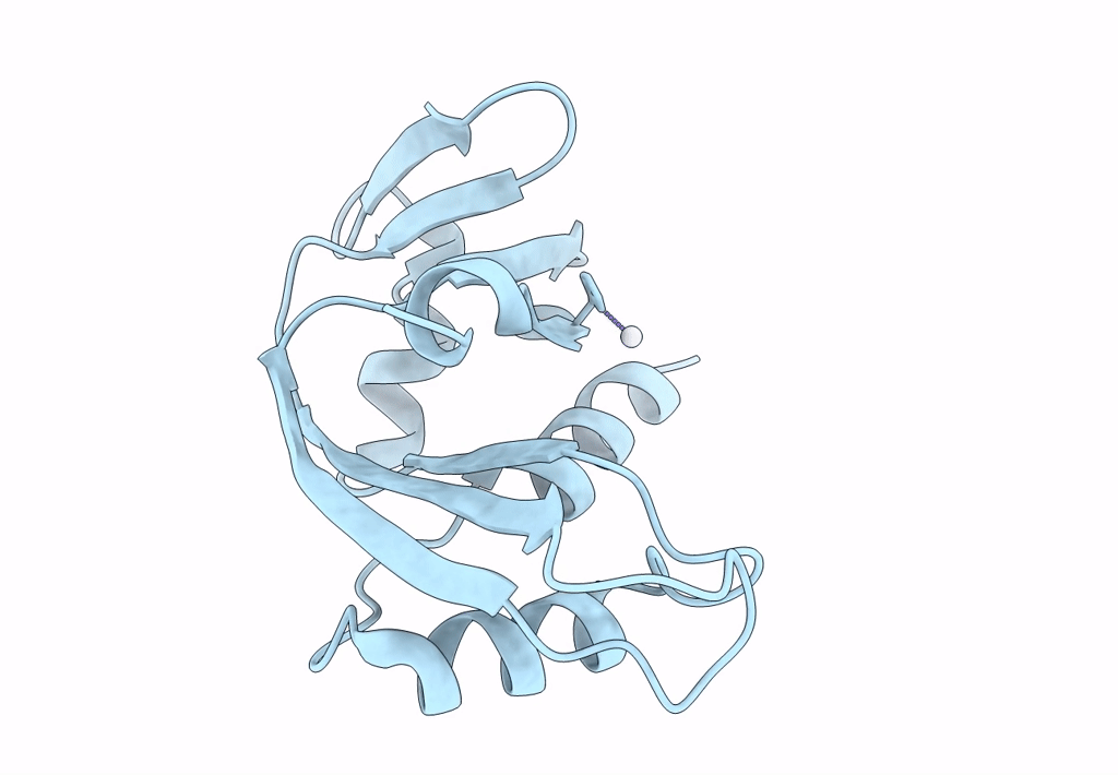 8OO4 image