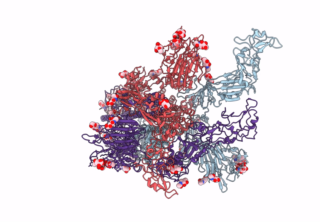 8OPN image