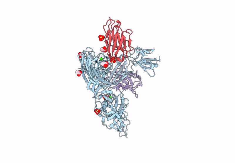 8OPR image
