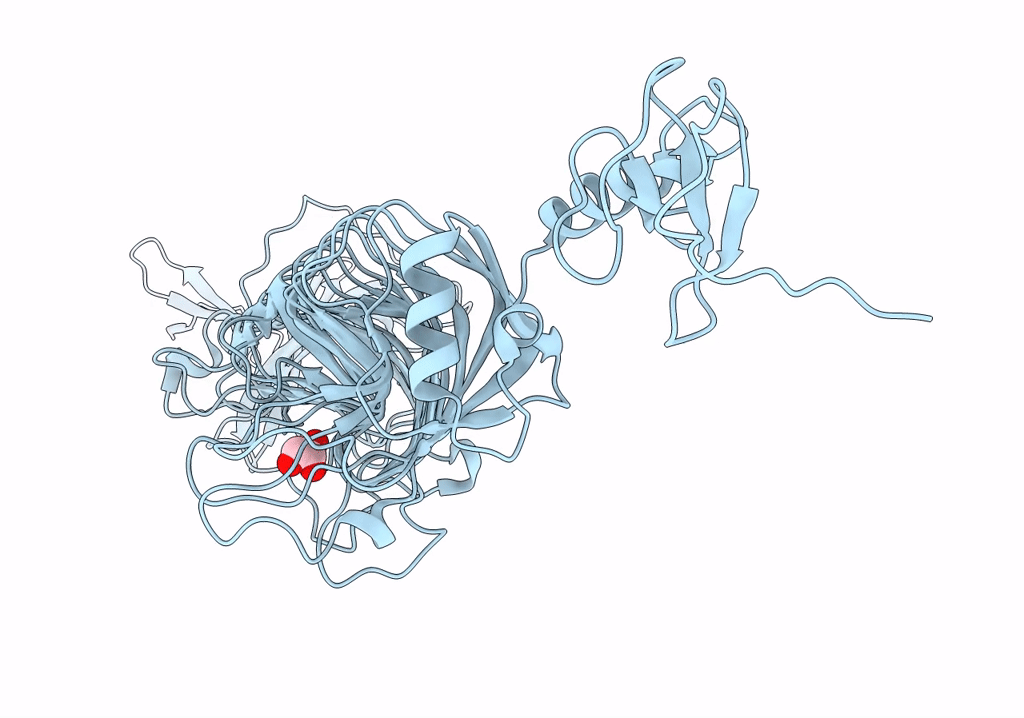8OPZ image