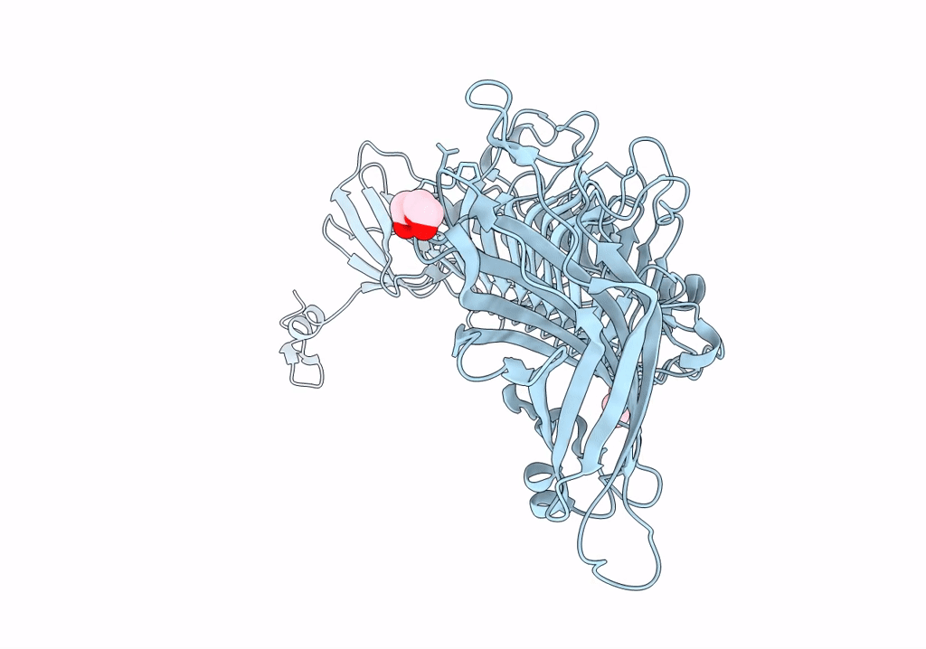 8OQ0 image