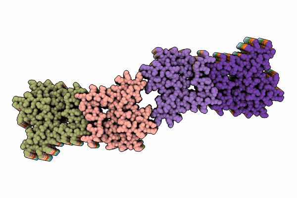 8OQ4 image