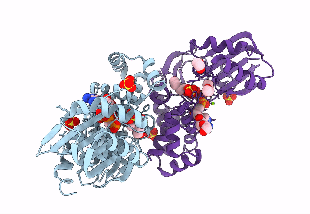 8OQX image