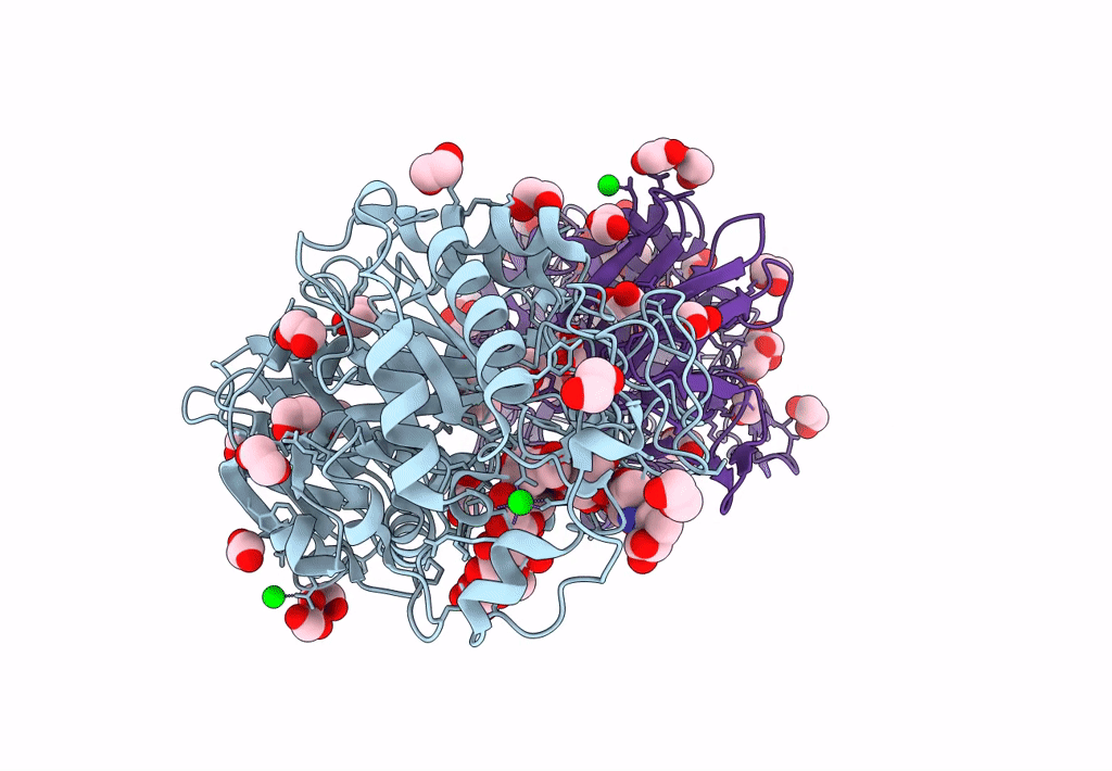 8ORP image